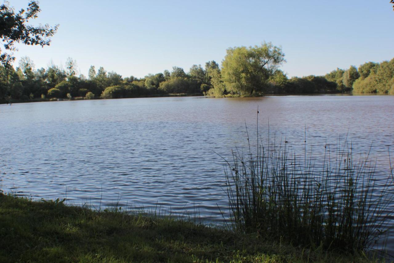 Gite Des Belles Fontaines Neung-sur-Beuvron Exterior foto